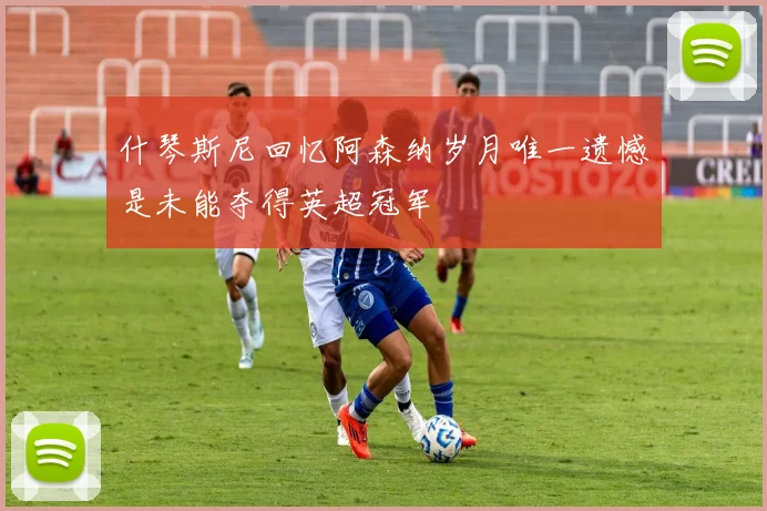 什琴斯尼回忆阿森纳岁月唯一遗憾是未能夺得英超冠军