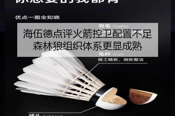 海伍德点评火箭控卫配置不足 森林狼组织体系更显成熟